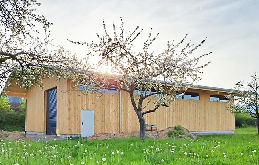 BIENENMARTINS IMKEREI  I  LAGERHALLE